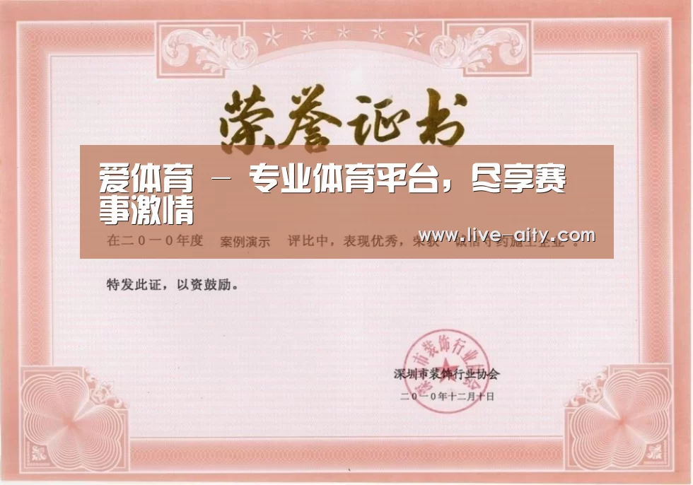 荣誉证书二(图1)