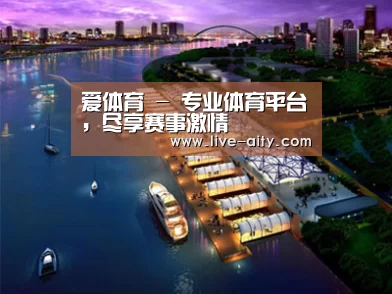 案例展示八(图1)
