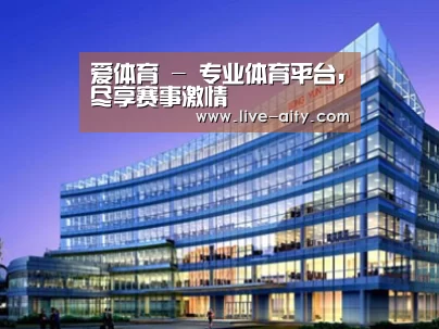 案例展示五