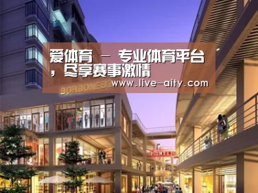 案例展示一