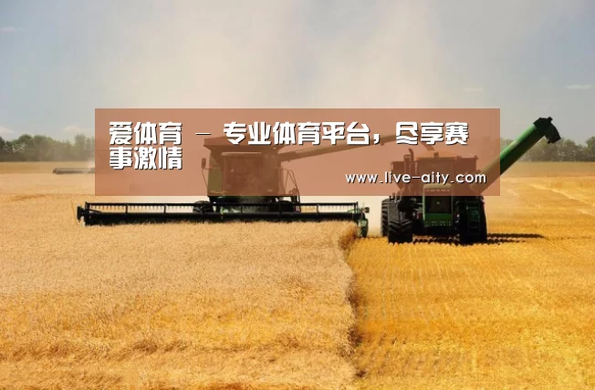 产品名称八