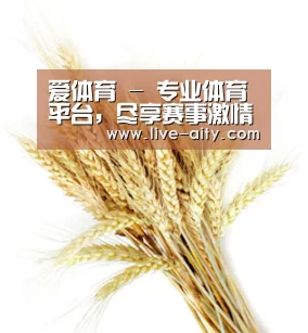 爱体育 - 专业体育平台，尽享赛事激情